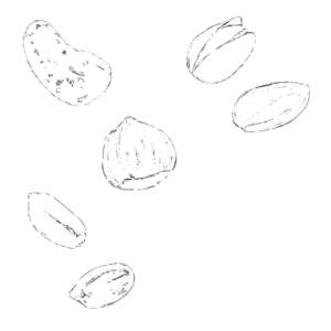 illustration fruits secs png
