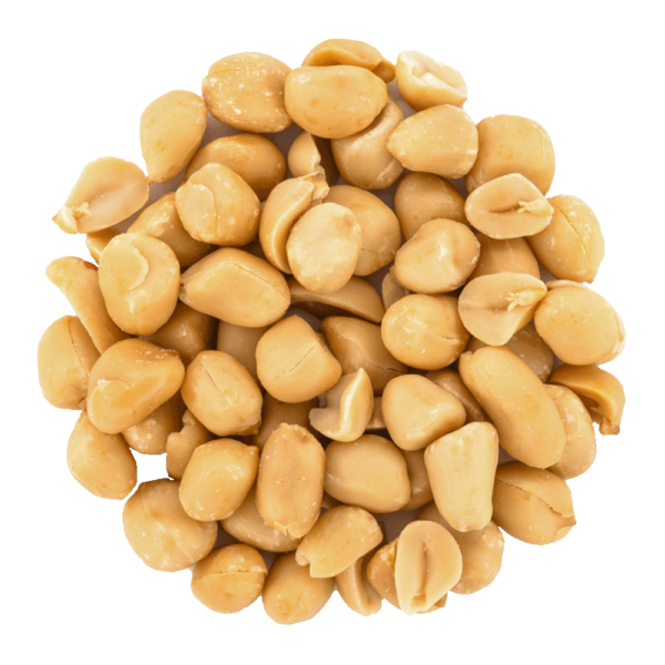 arachide blanchie salée bio