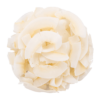 chips de noix de coco