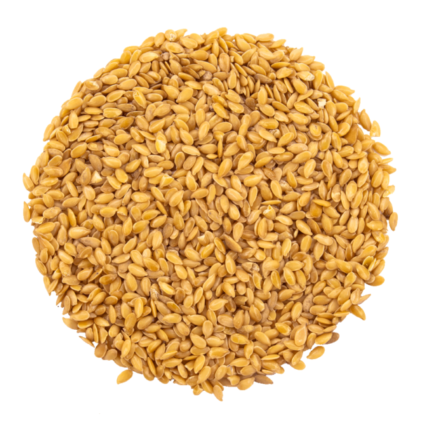 graines de lin bio