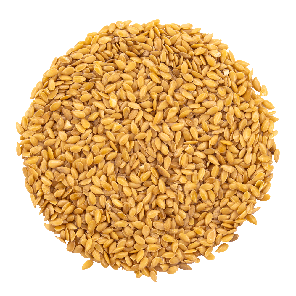 graines de lin bio
