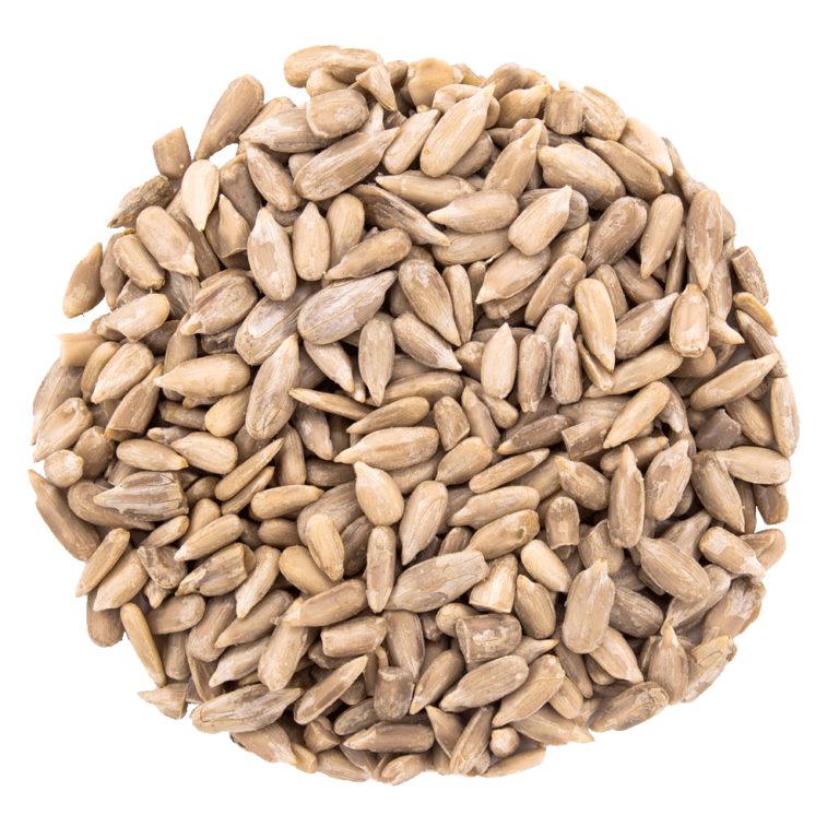 graine de tournesol bio