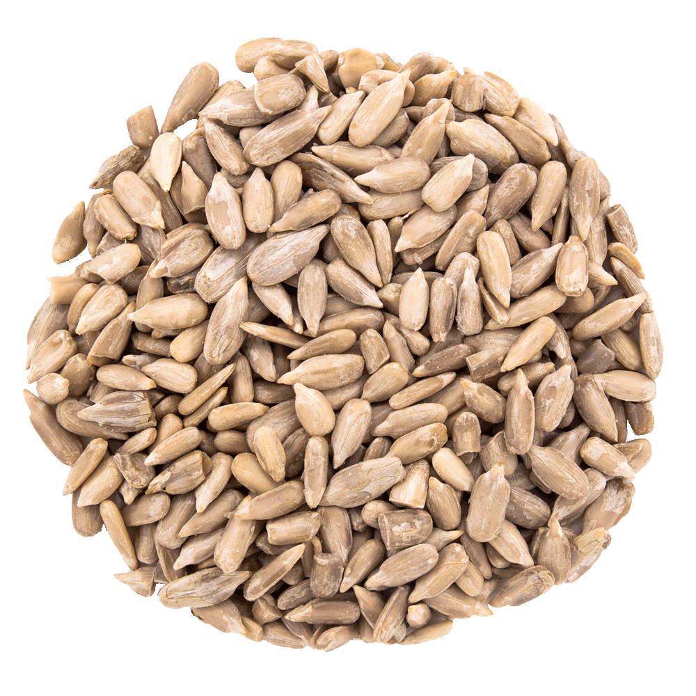 graine de tournesol bio