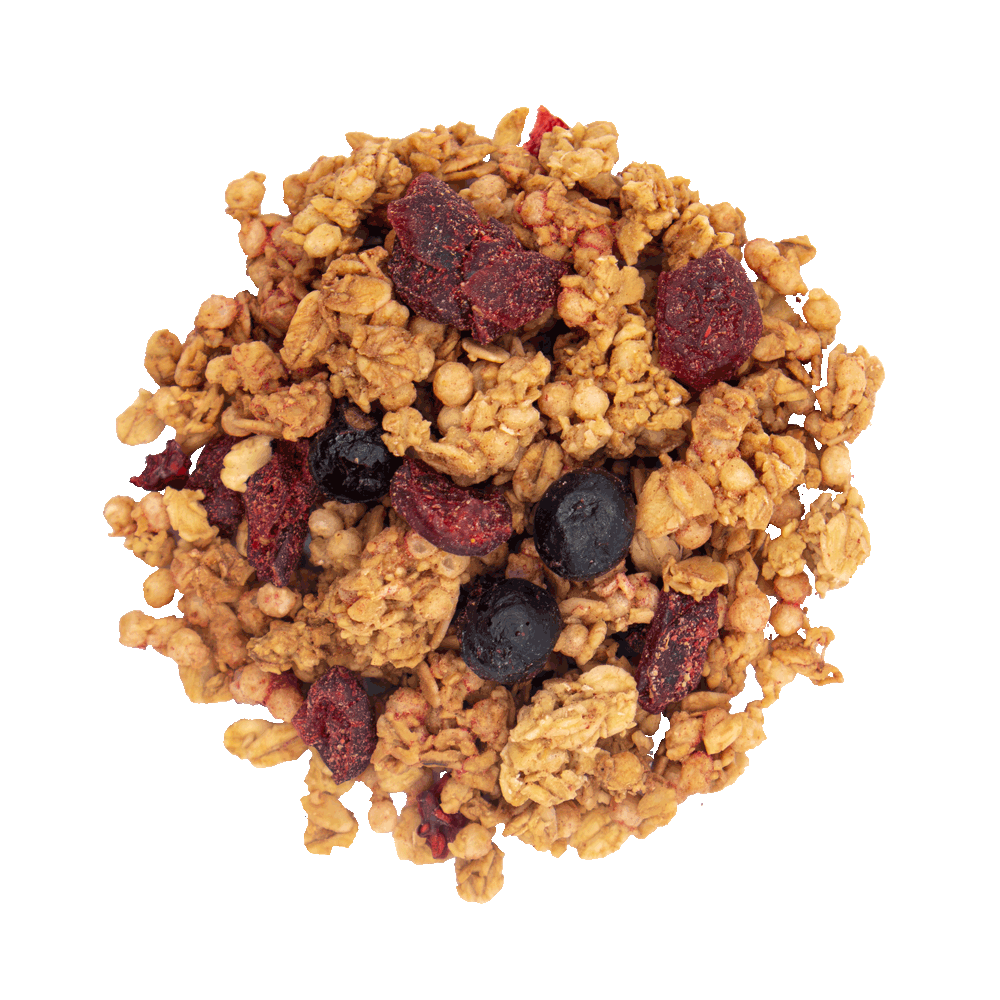 granola fruits rouges