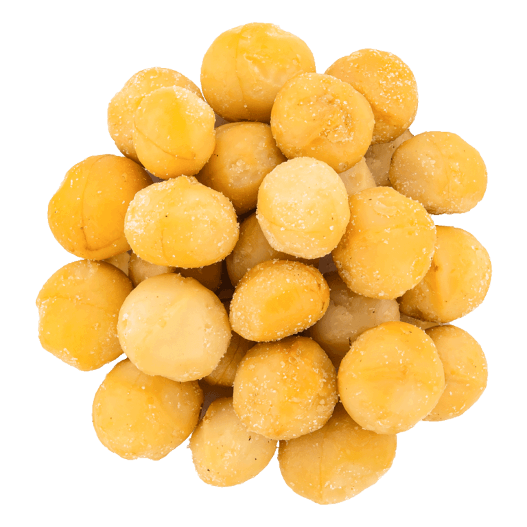 noix de macadamia salée bio