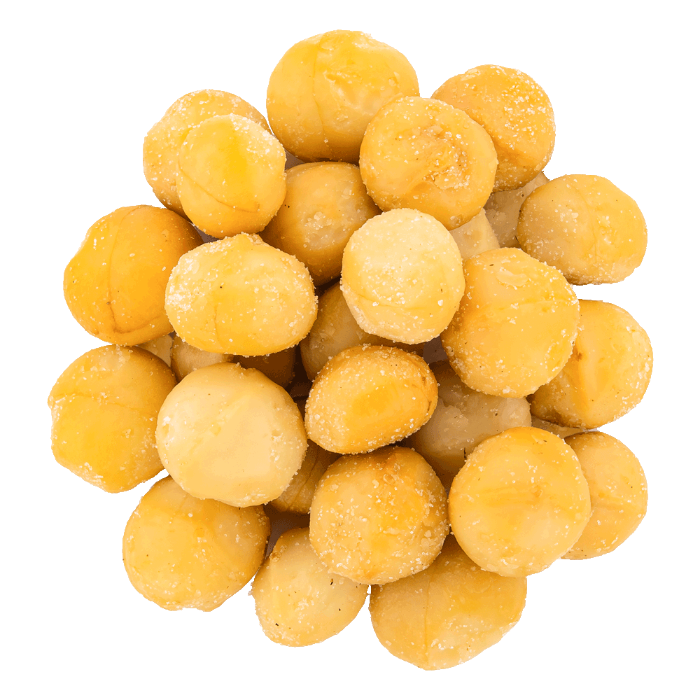 noix de macadamia salée bio