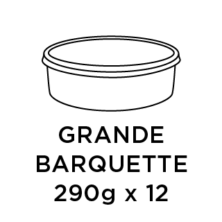 Un carton de 12 grandes barquettes de 290g