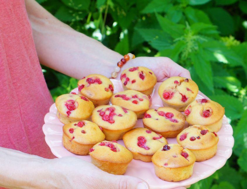 Muffins moelleux groseilles et amandes Maison Naja